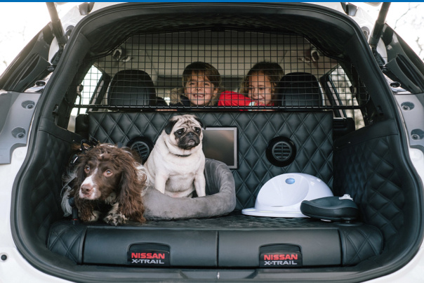 Tu coche eléctrico cuidará de tu perro