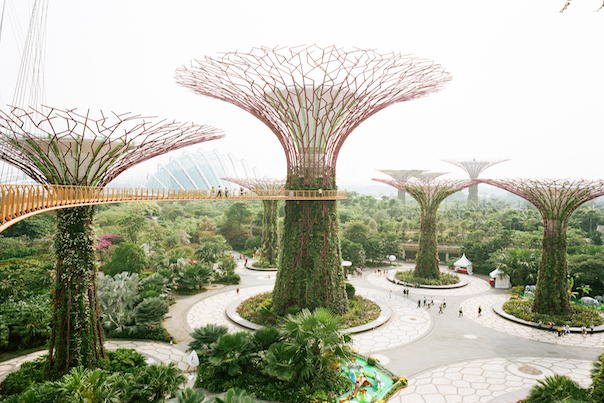 Singapur